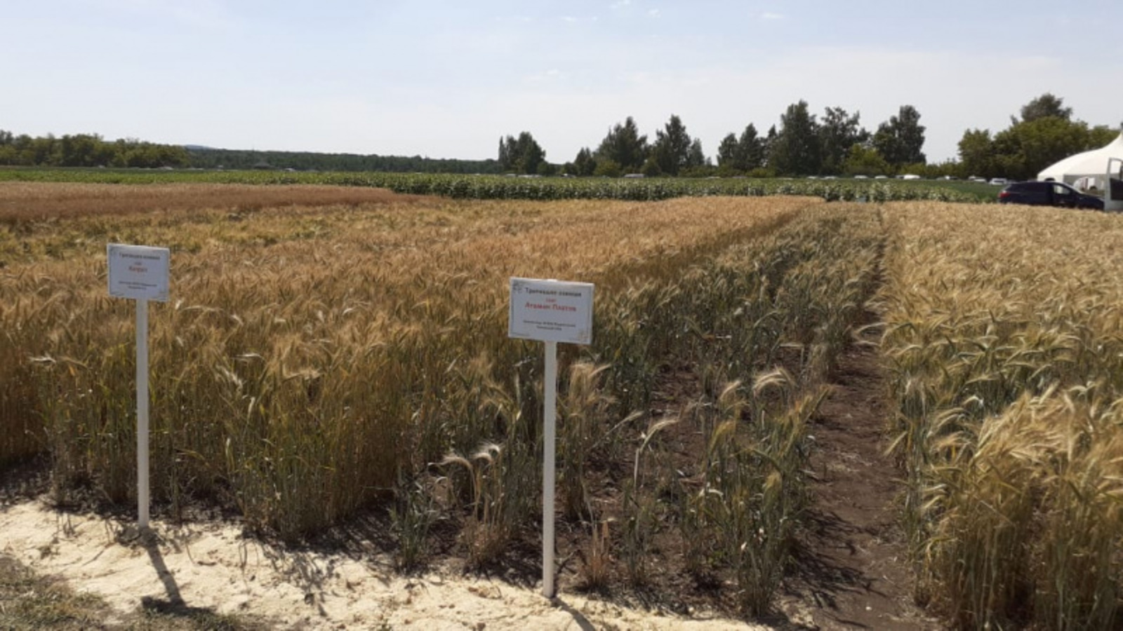 Фото со страницы Радия Хабирова в соцсетях.