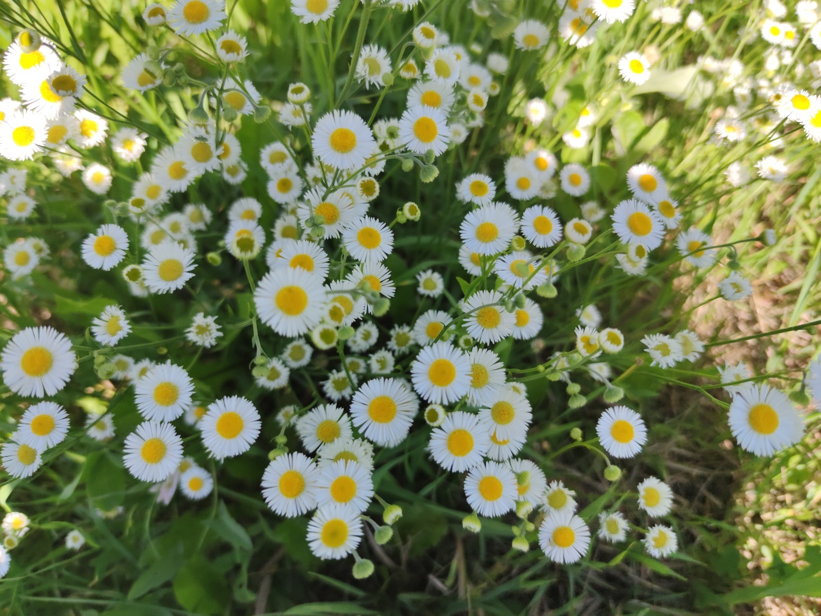 Дарьи Святохиной.