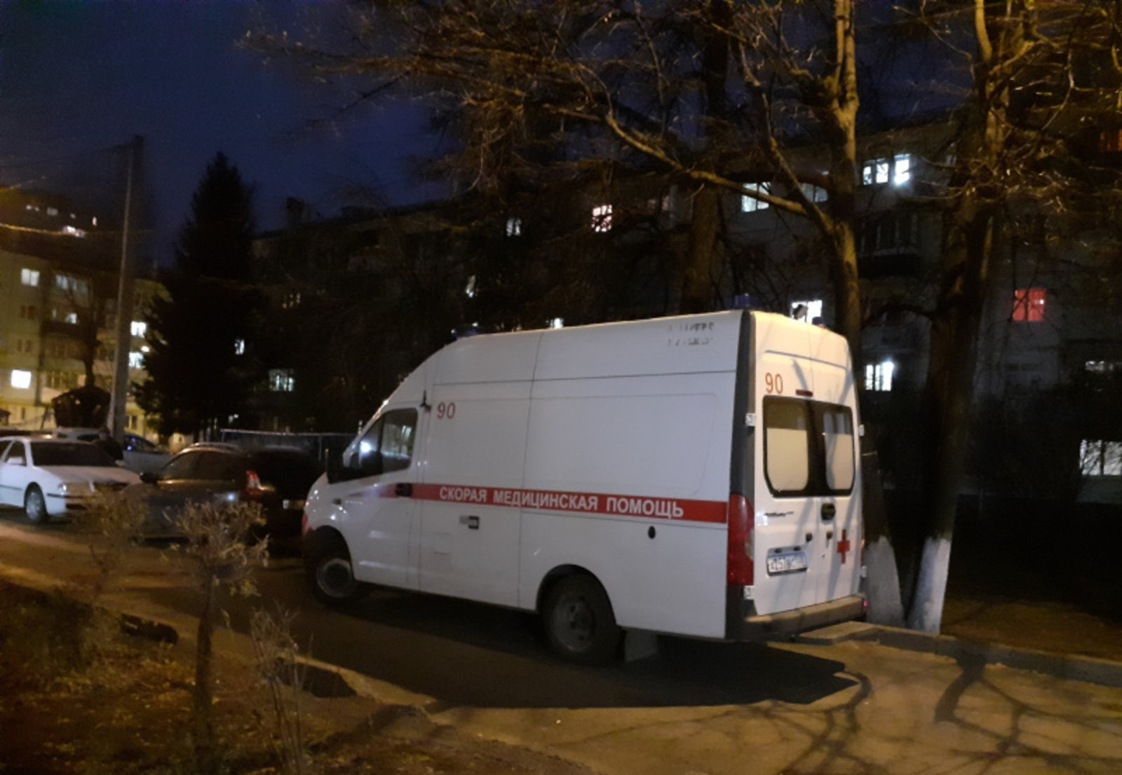 Фото автора.