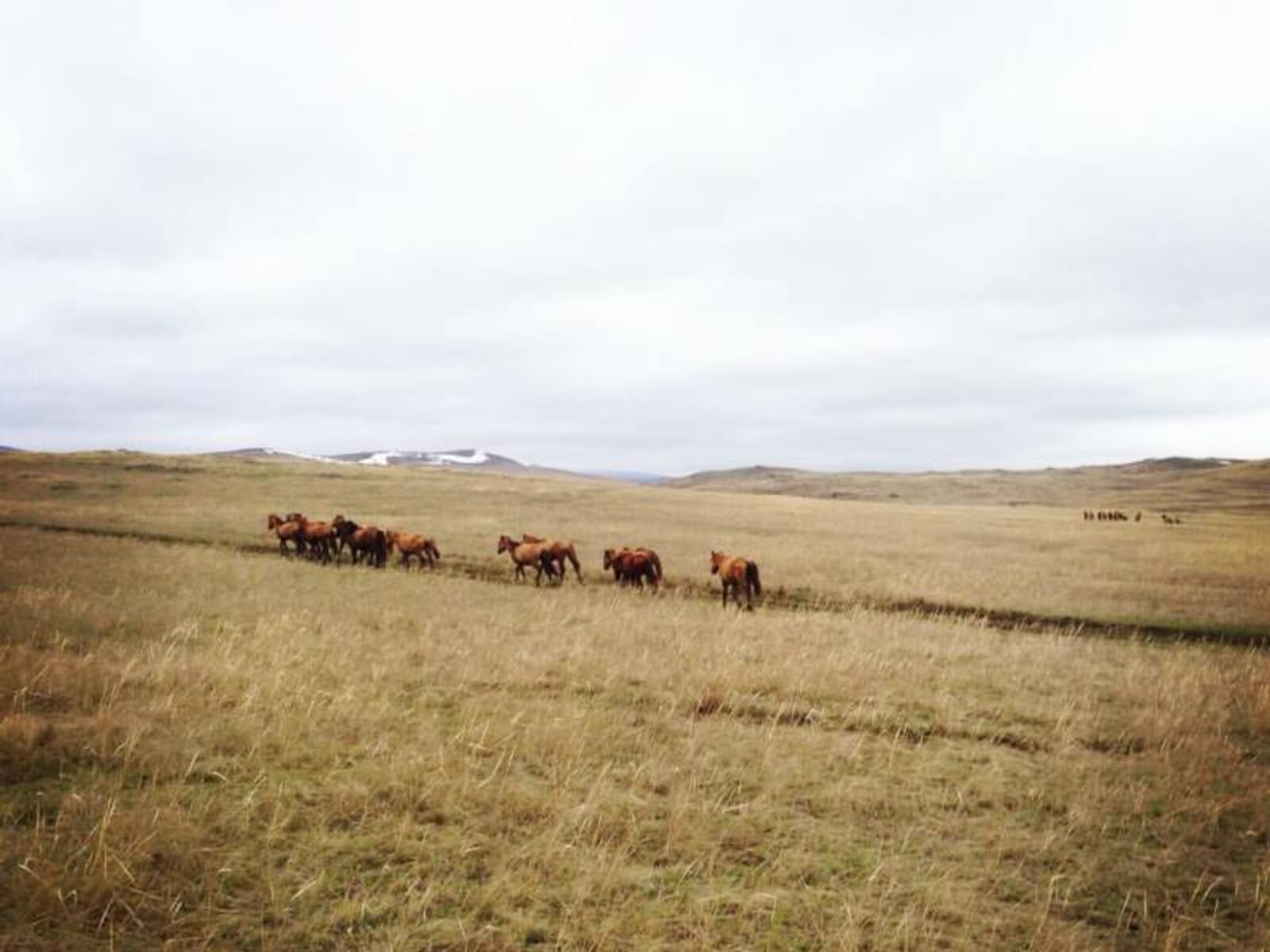 Фото предоставлено Денисом Умутбаевым.