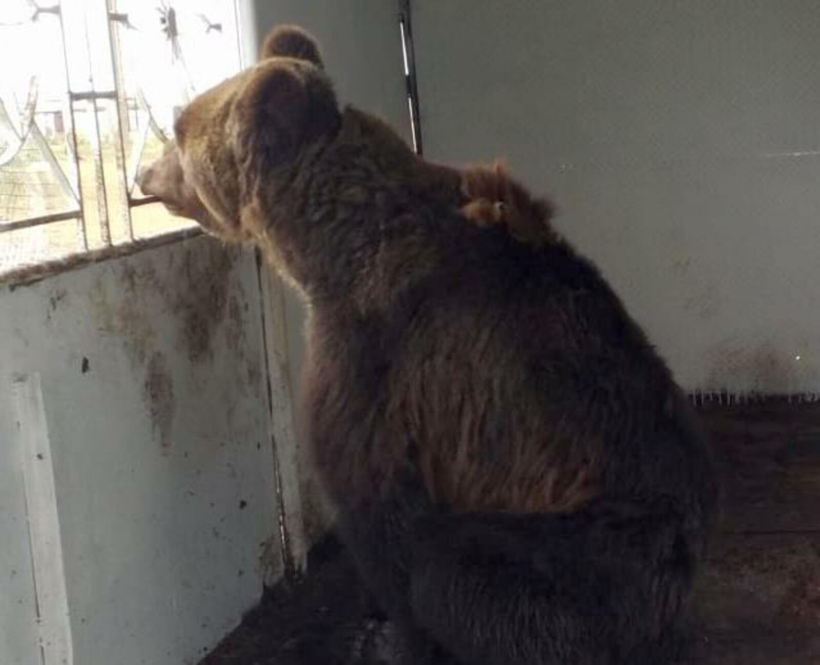 Фото предоставлено Хасаном Идиятуллиным.