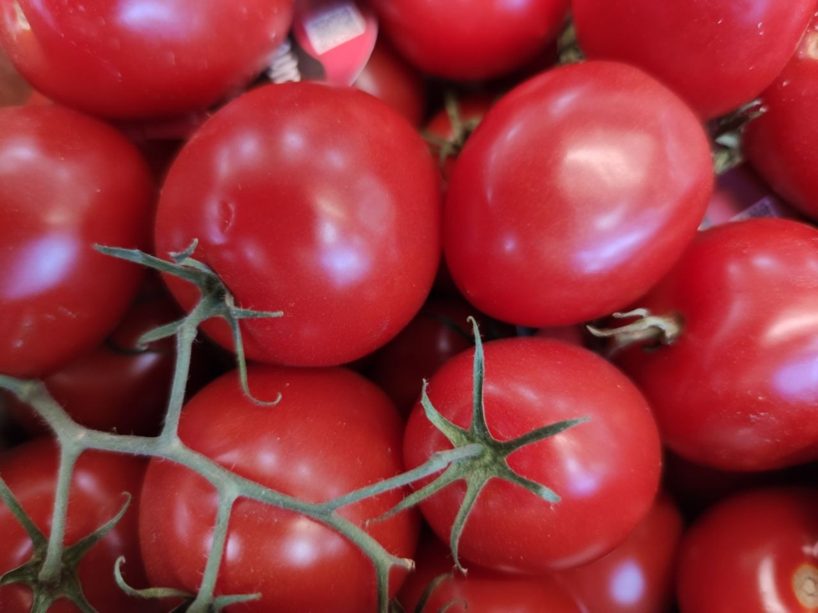 Дарьи Святохиной.