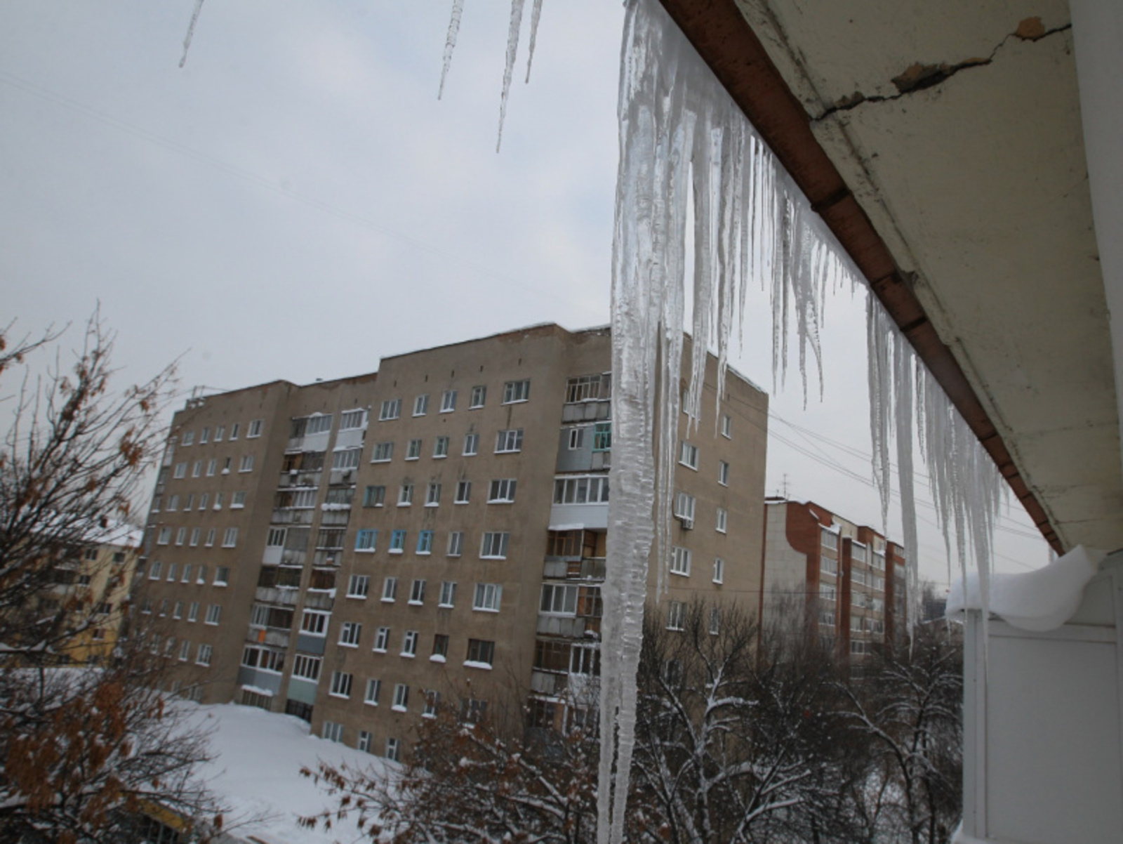 Фото Олега Яровикова.