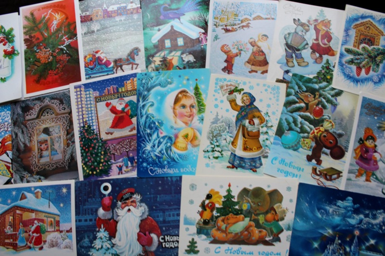 Фото Дарьи Святохиной.