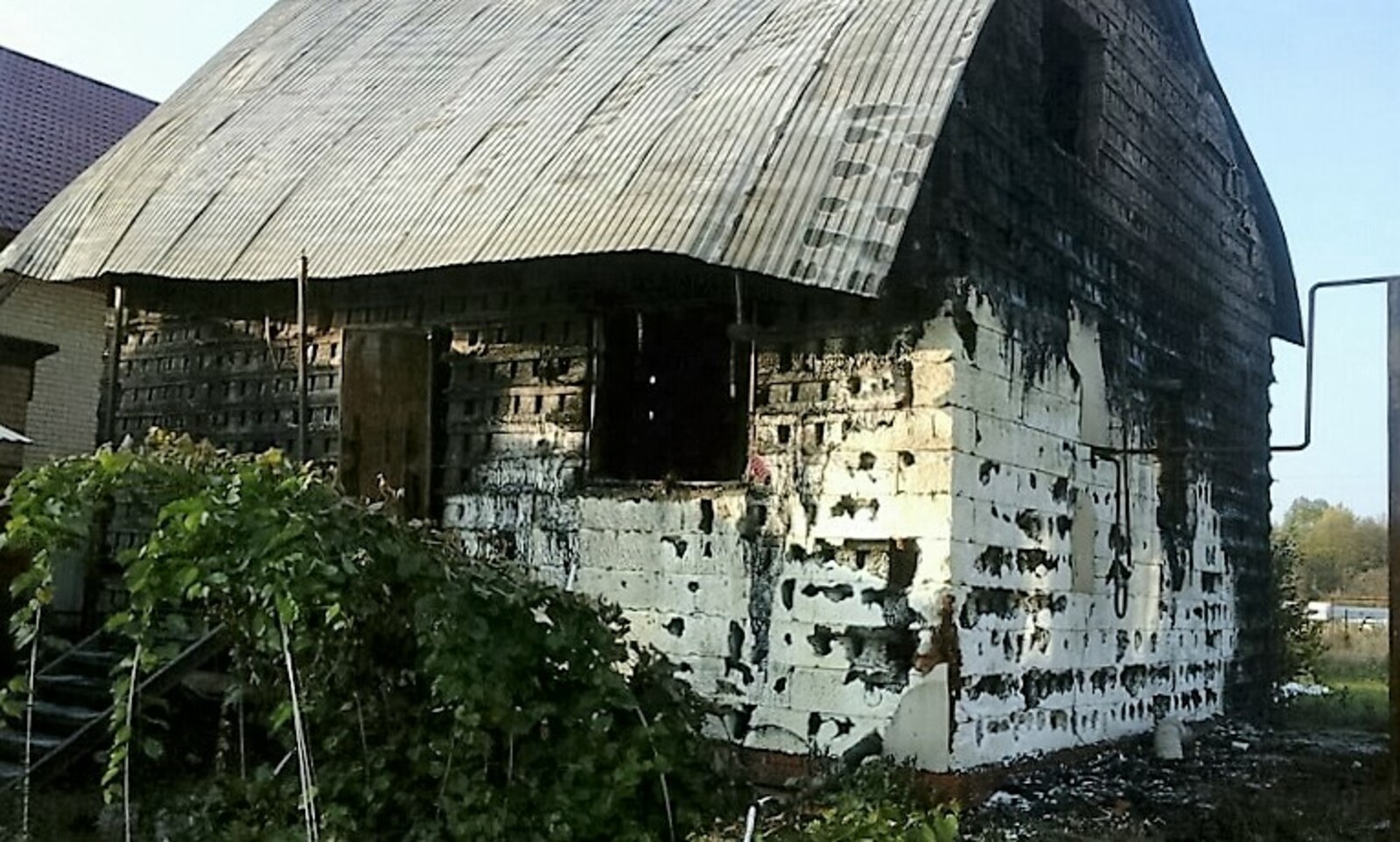 Фото предоставлено Натальей Андреевой.