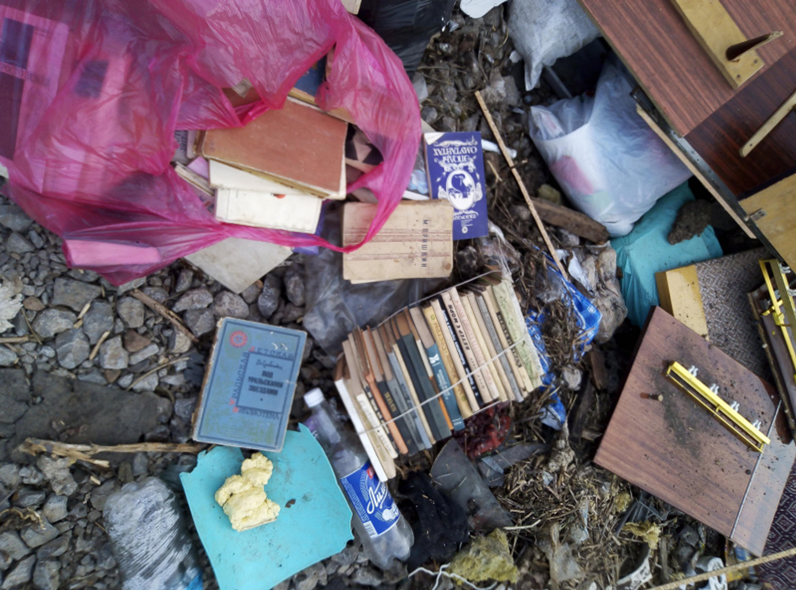 Фото автора.