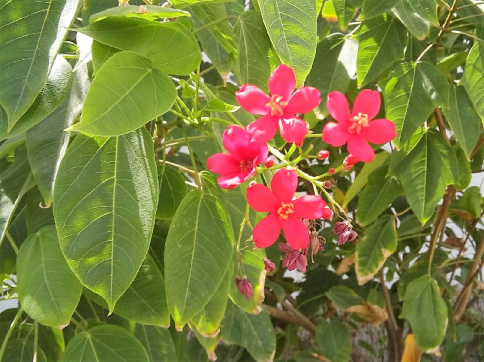 Фото Евгении Сюткиной.