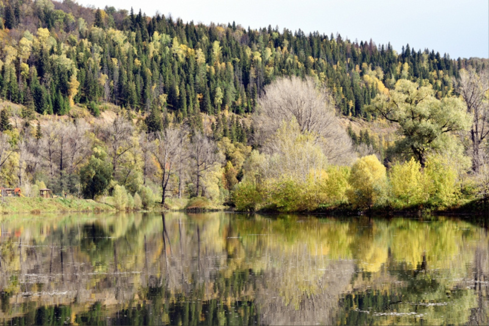 Фото автора.