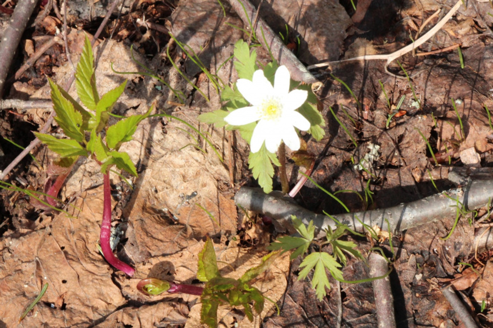 Фото Евгении Сюткиной.