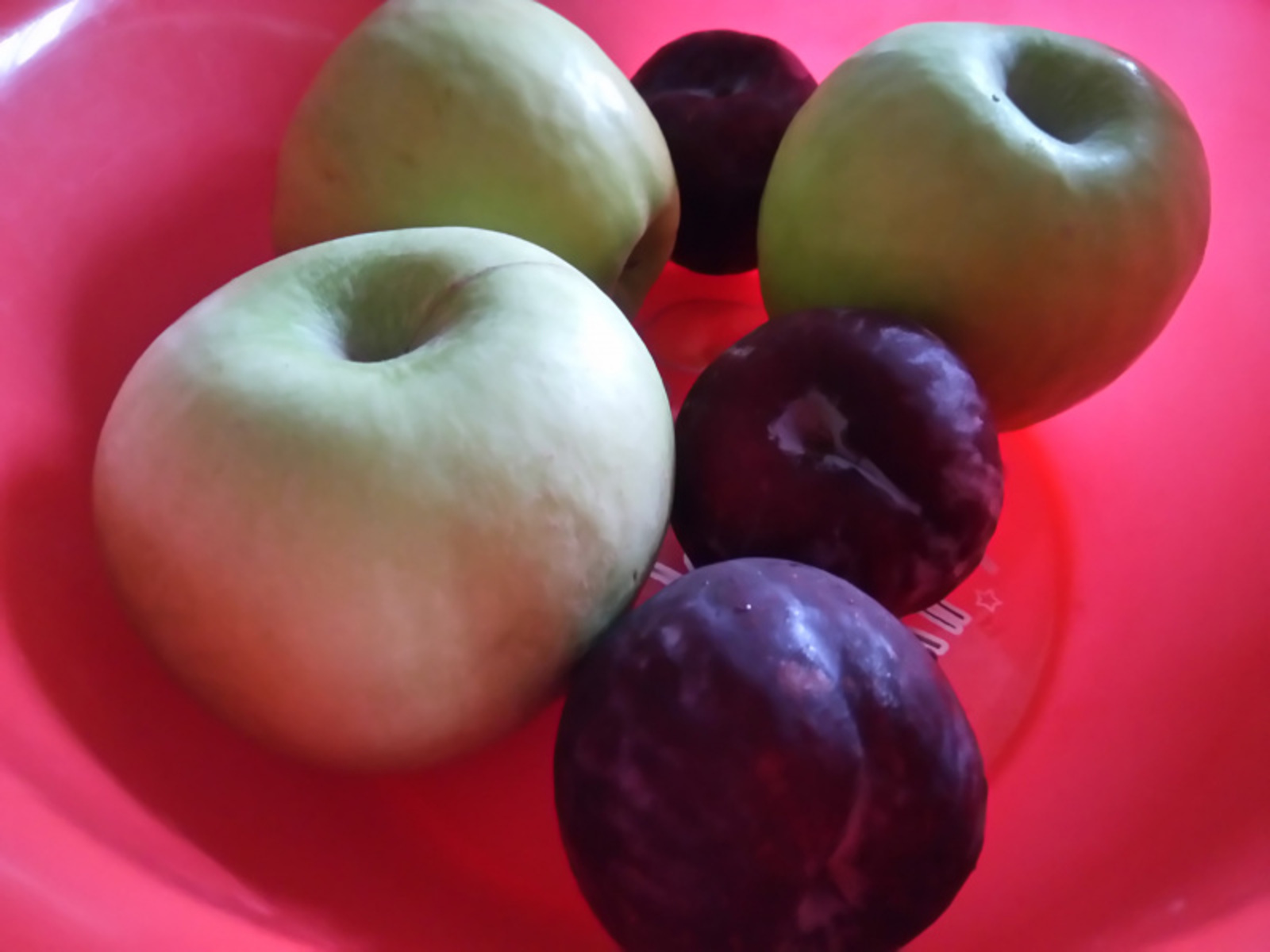 Фото Васили Саитовой.