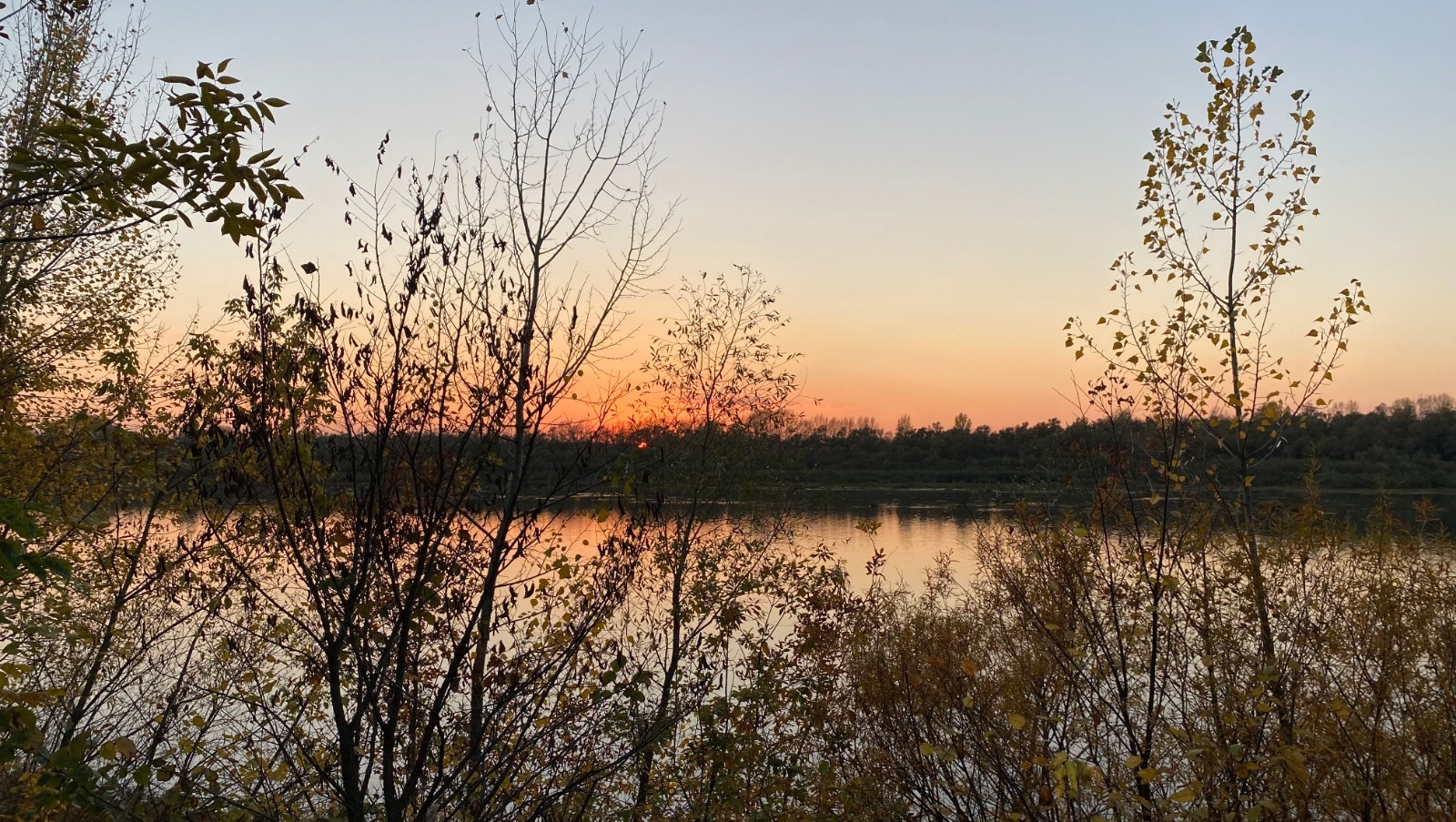 Елены Колоколовой.