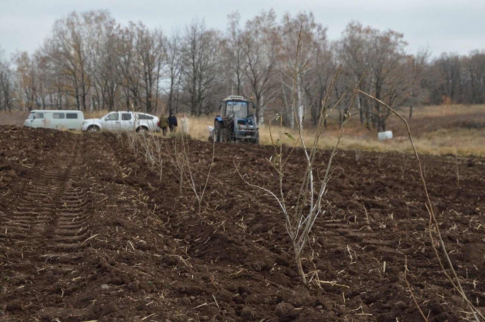 c личной страницы Радия Хабирова в соцсети.