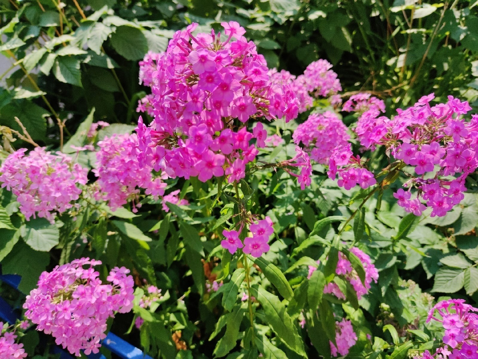 Дарьи Святохиной.