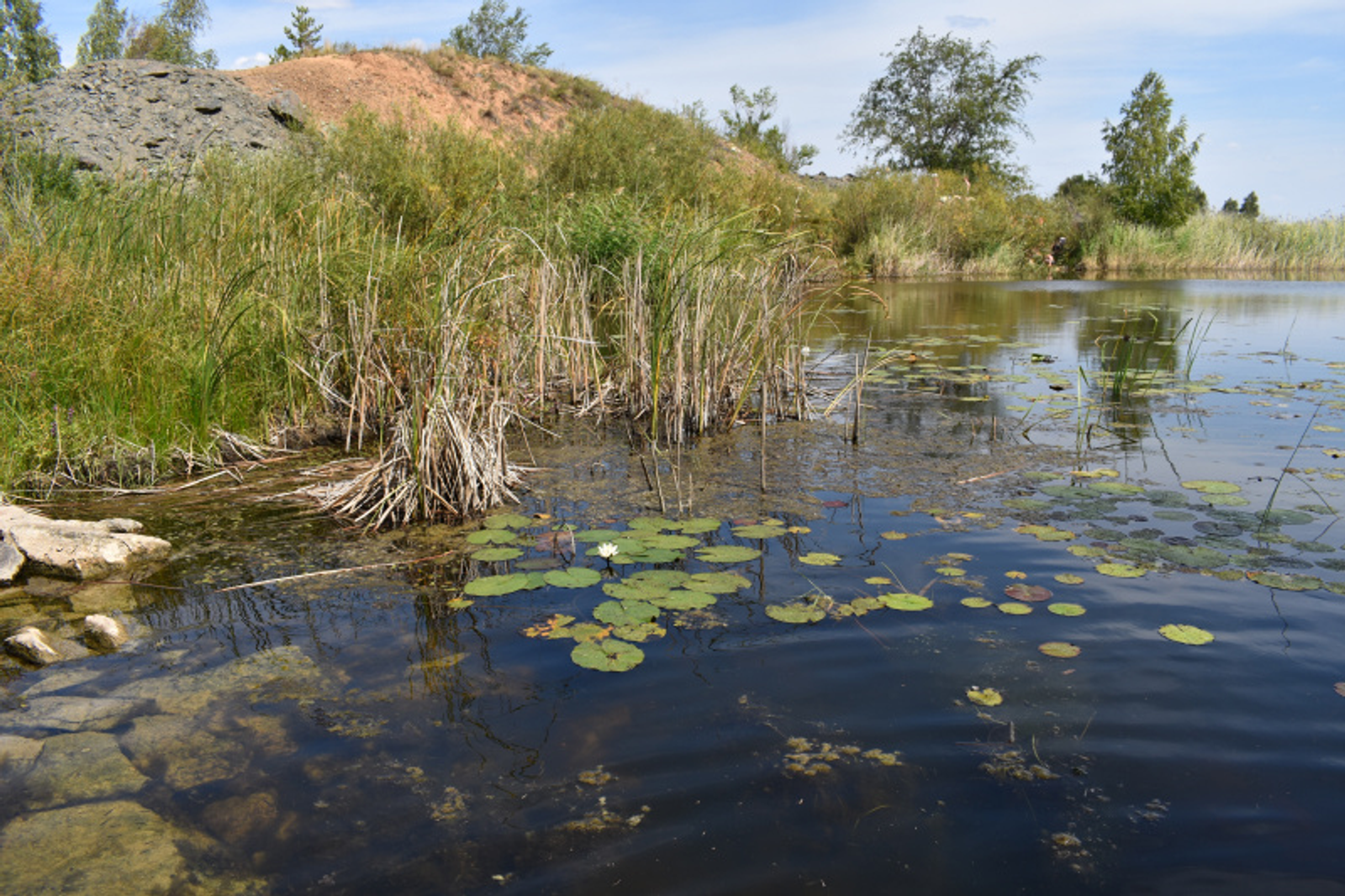 Фото автора.