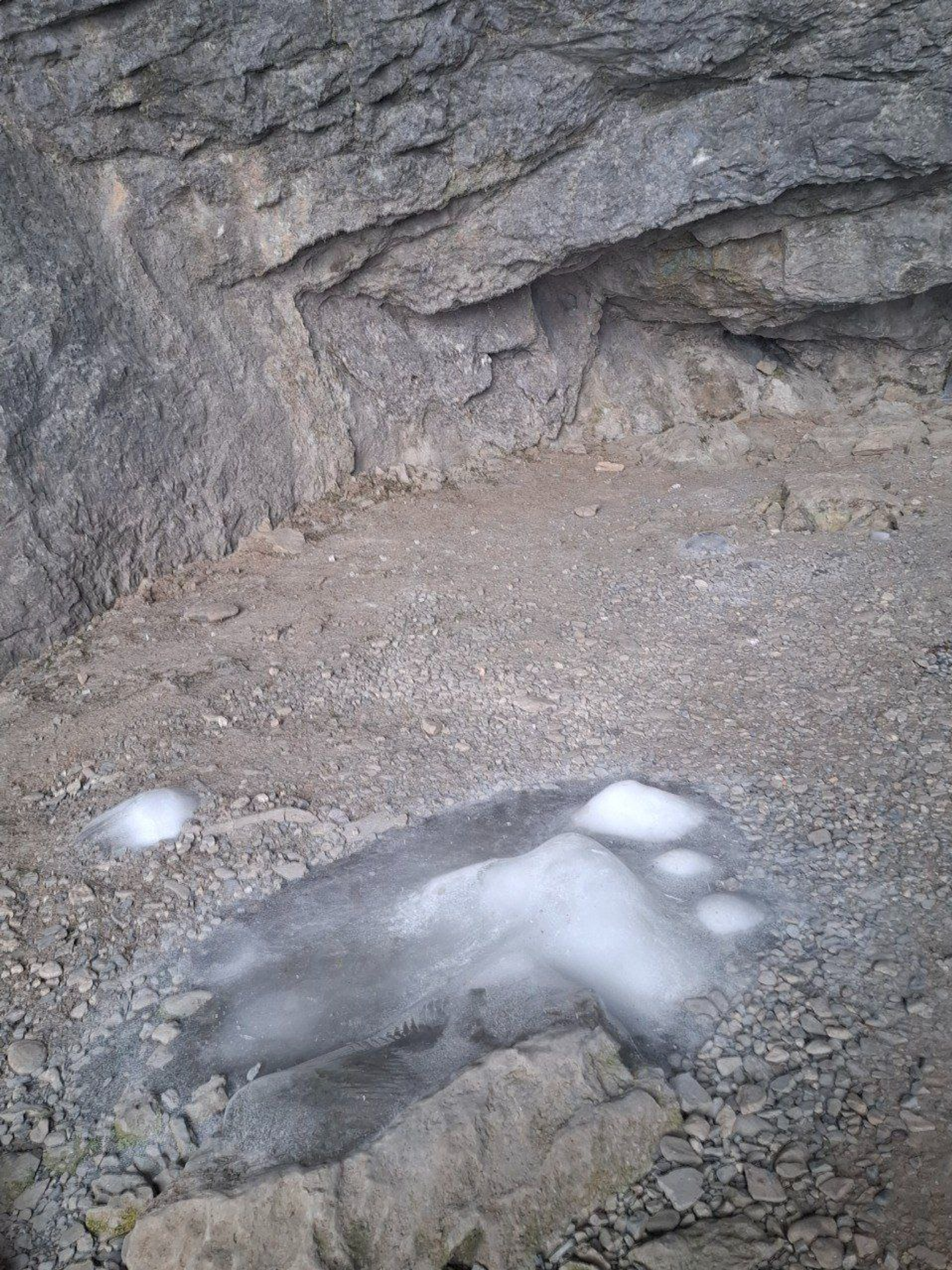 Азалии Ильиной.  Государственный природный биосферный заповедник «Шульган-Таш».