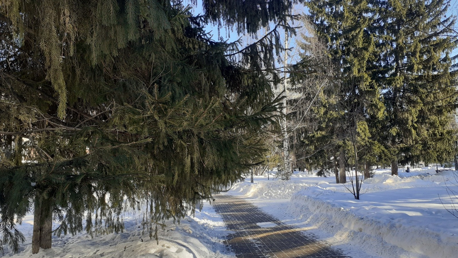 Владимира Шакиева. «Общественная электронная газета».