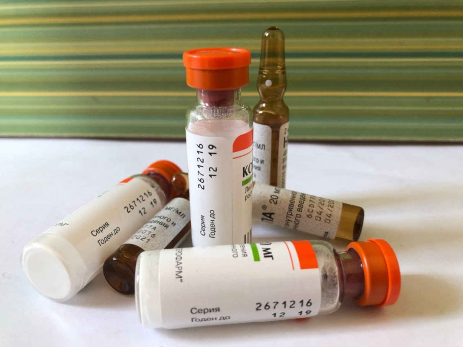 Фото Елены Колоколовой.