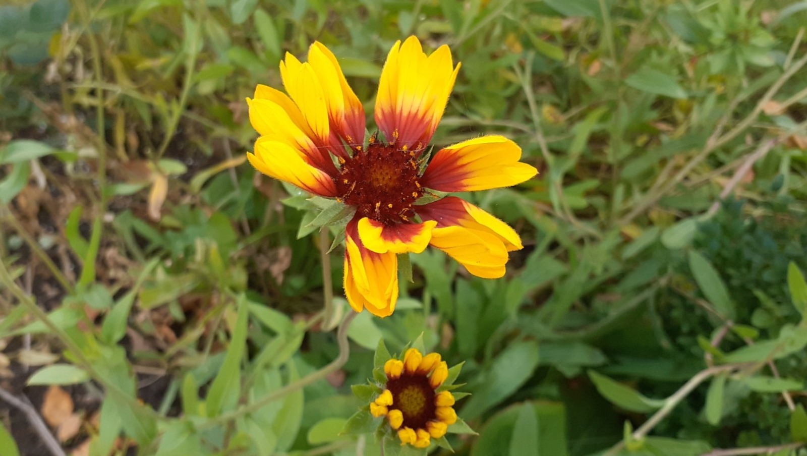 Владимира Шакиева. "Общественная электронная газета".