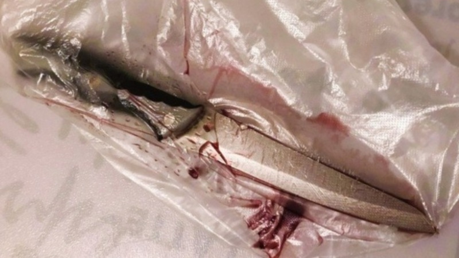 Елены Колоколовой.