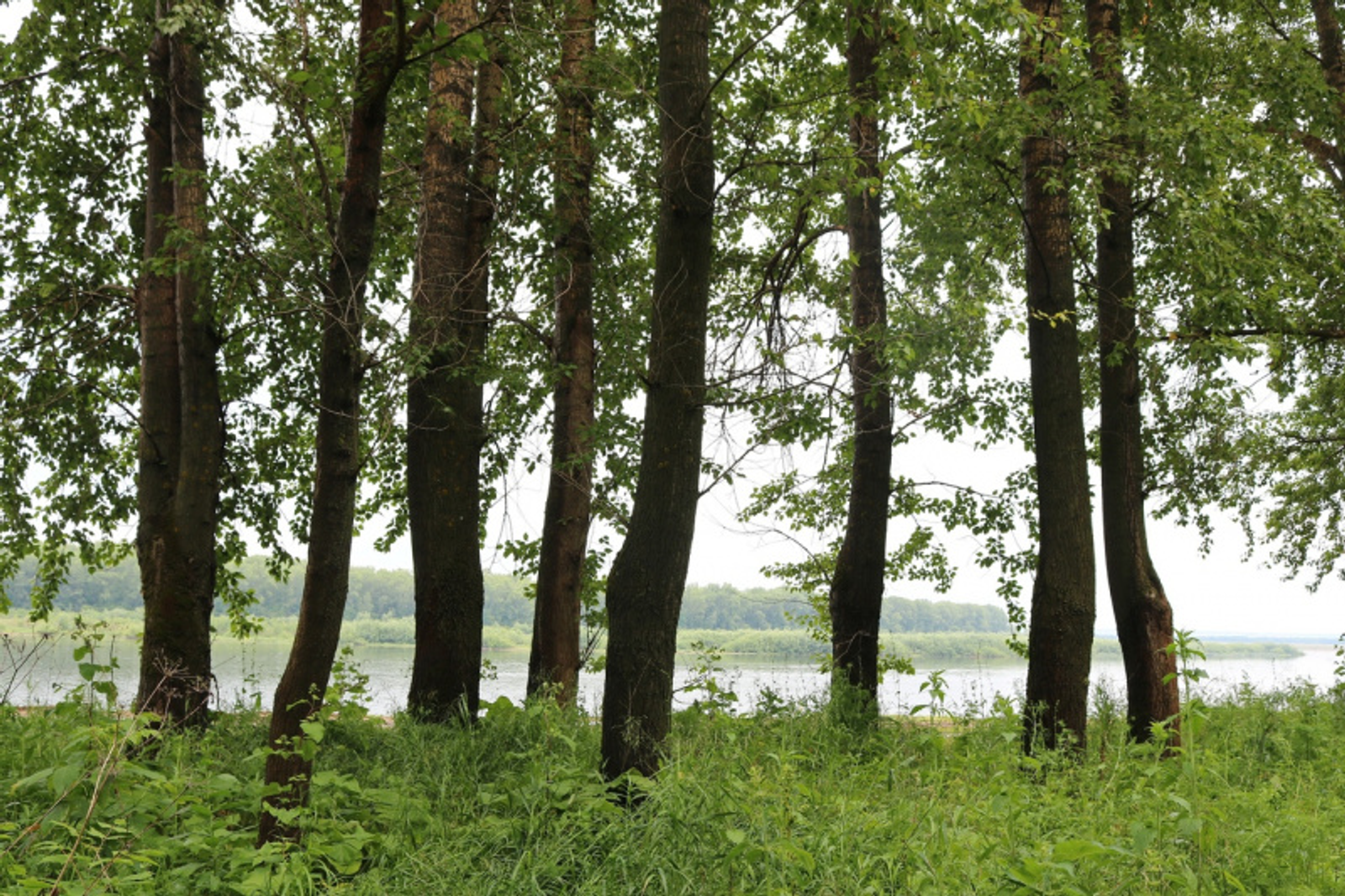 Фото автора.