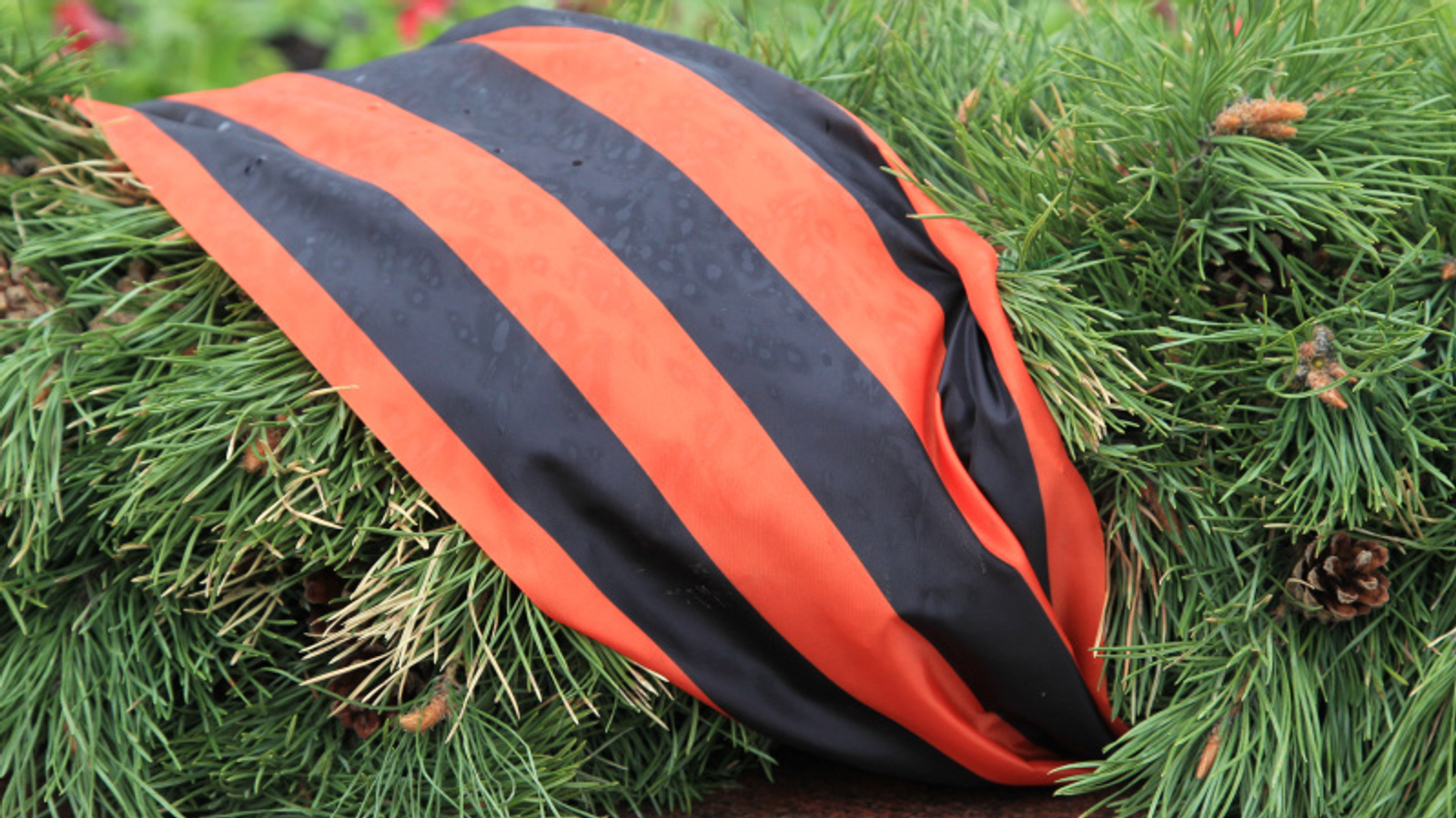 Фото Олега Яровикова.