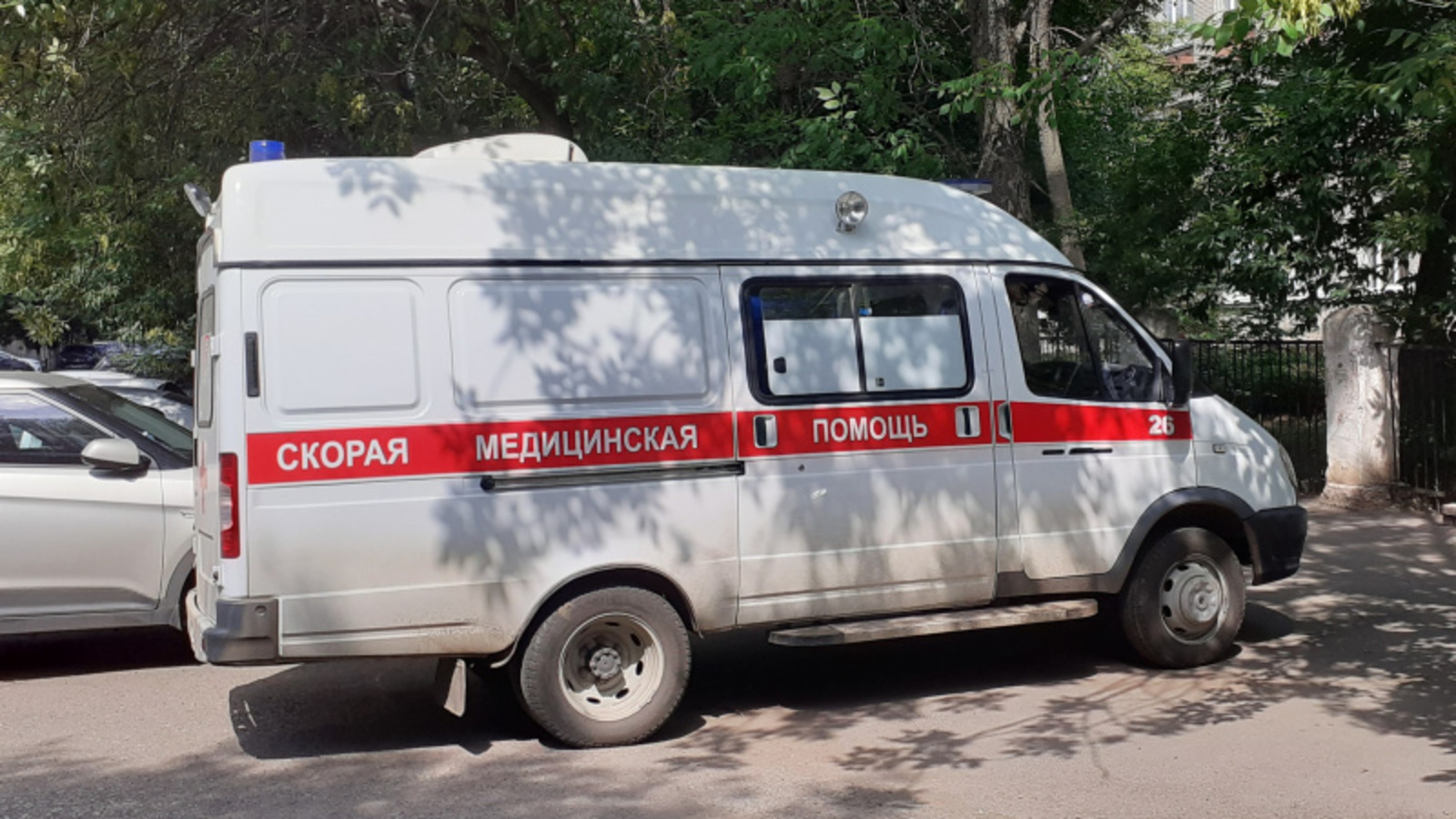 Фото автора.