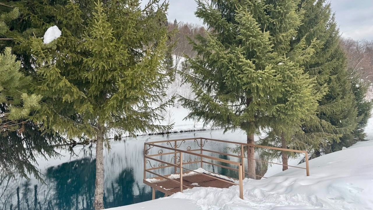 Елены Колоколовой. «Общественная электронная газета».