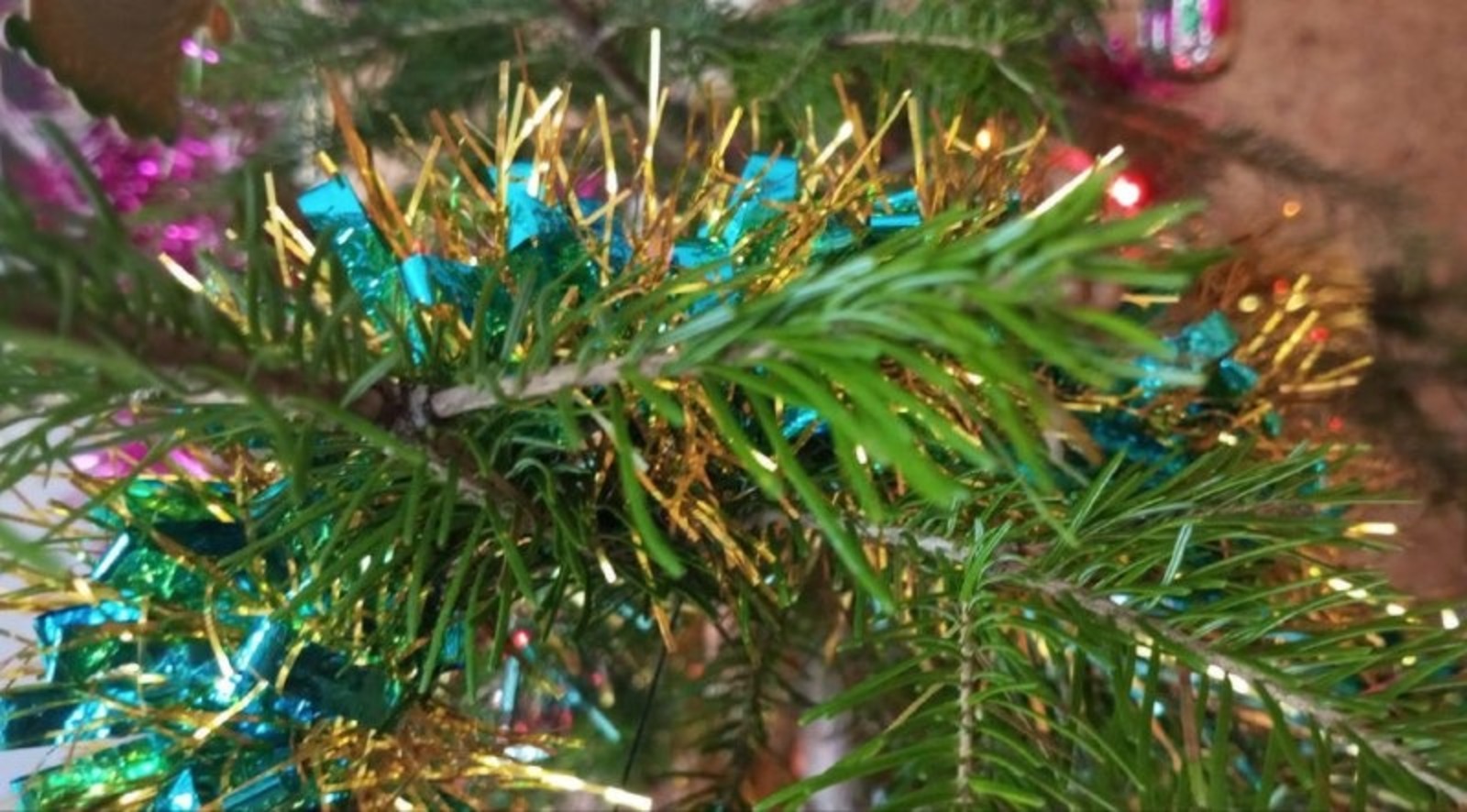 Евгении Сюткиной. «Общественная электронная газета».