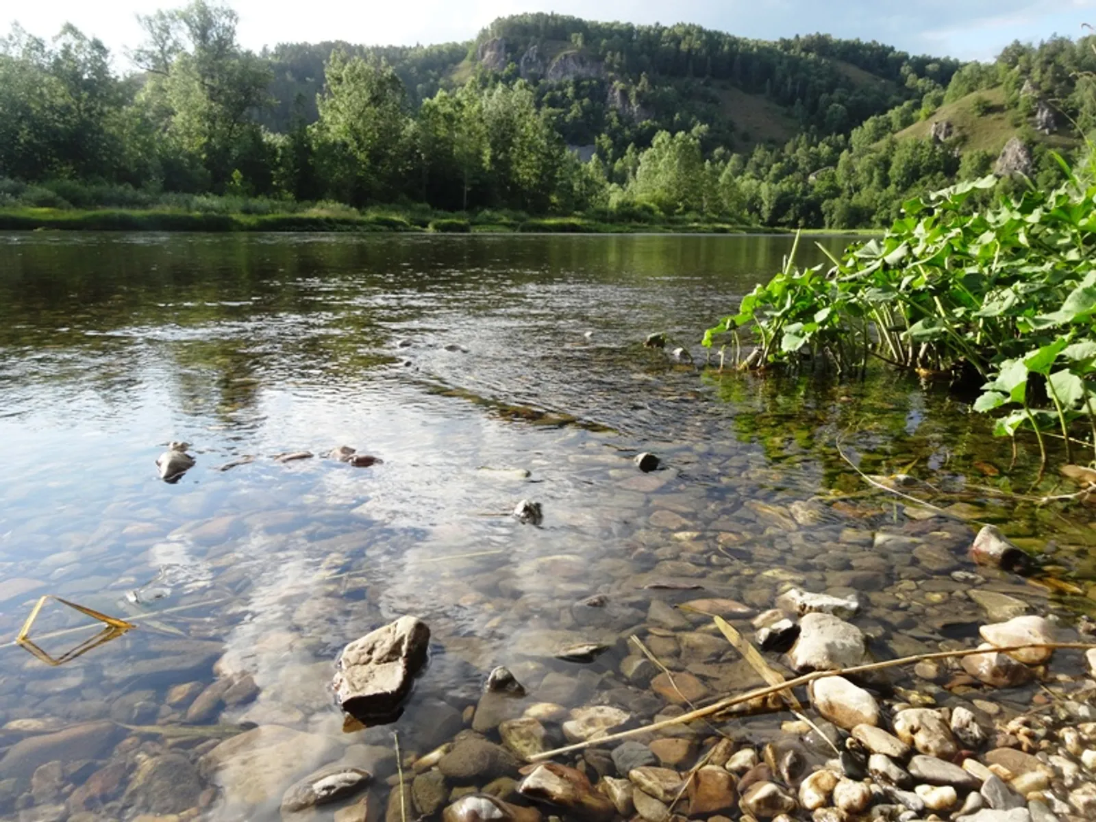 Фото автора.