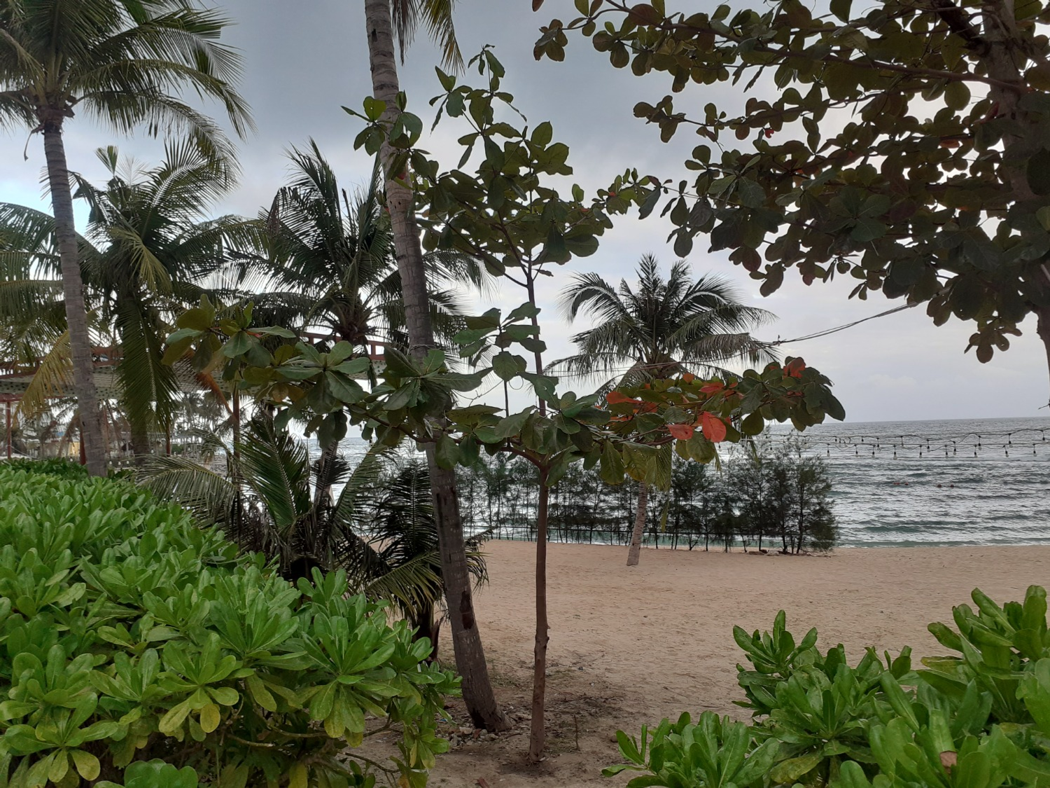 Владимира Шакиева. «Общественная электронная газета».