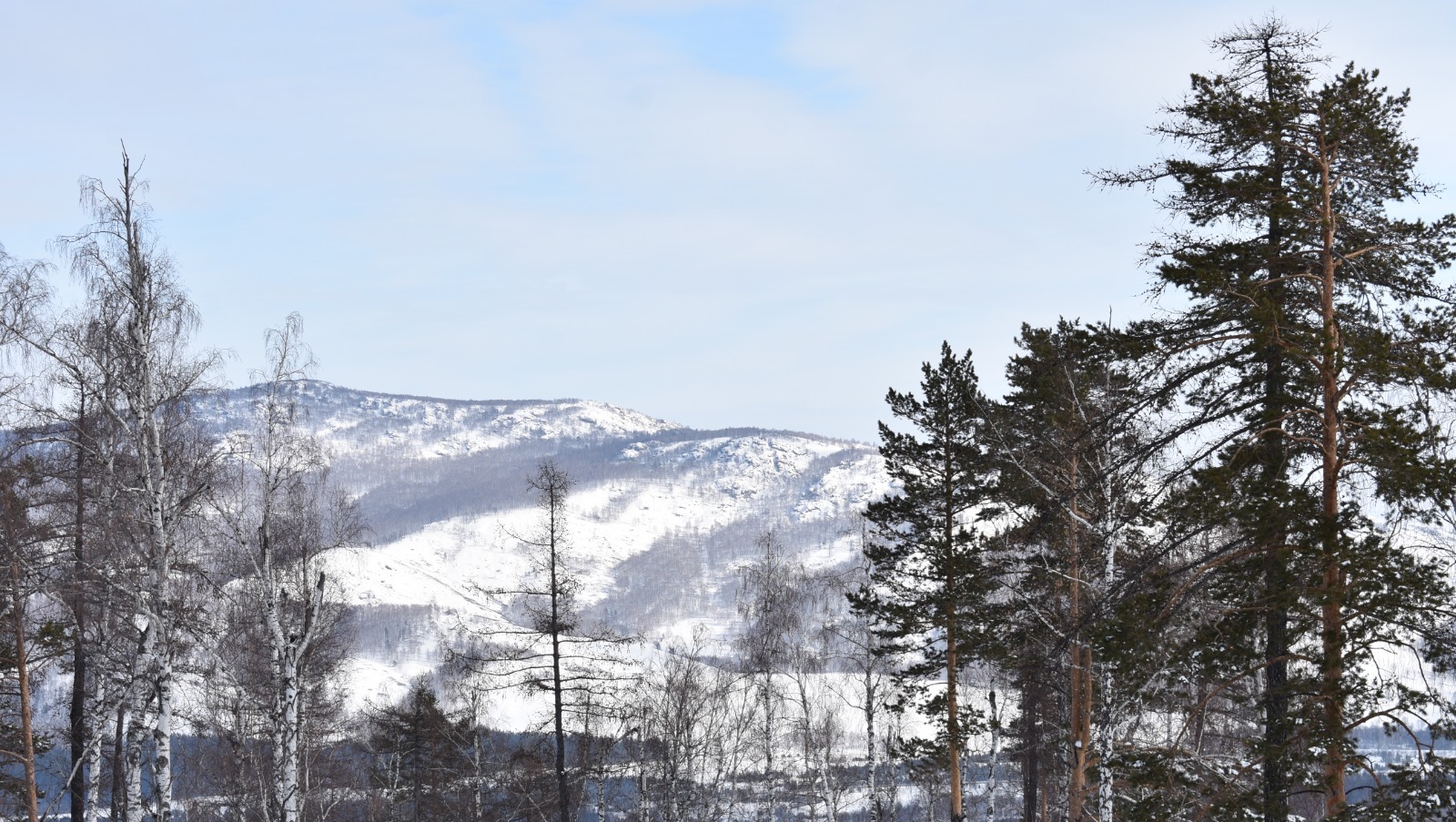 Елены Колоколовой.