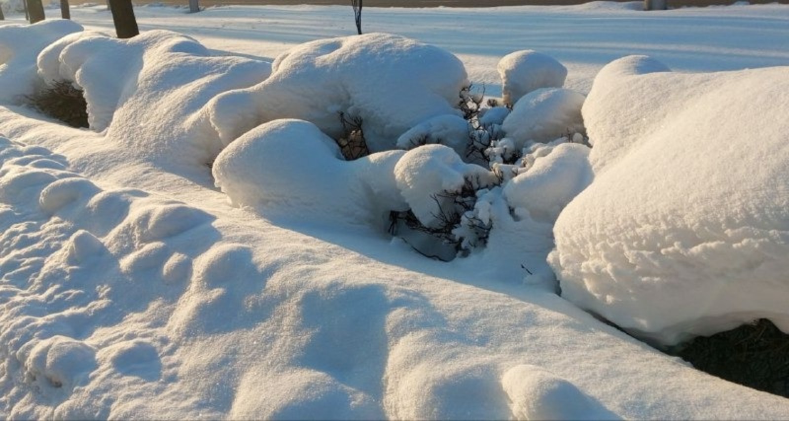 Евгении Сюткиной. «Общественная электронная газета».