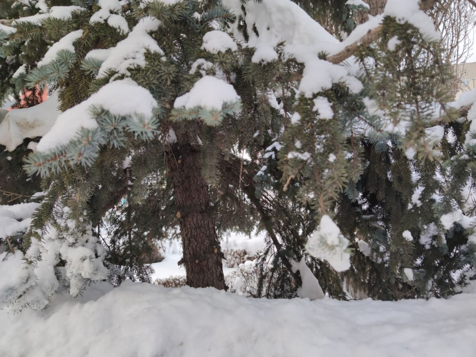 Дарьи Святохиной. «Общественная электронная газета».