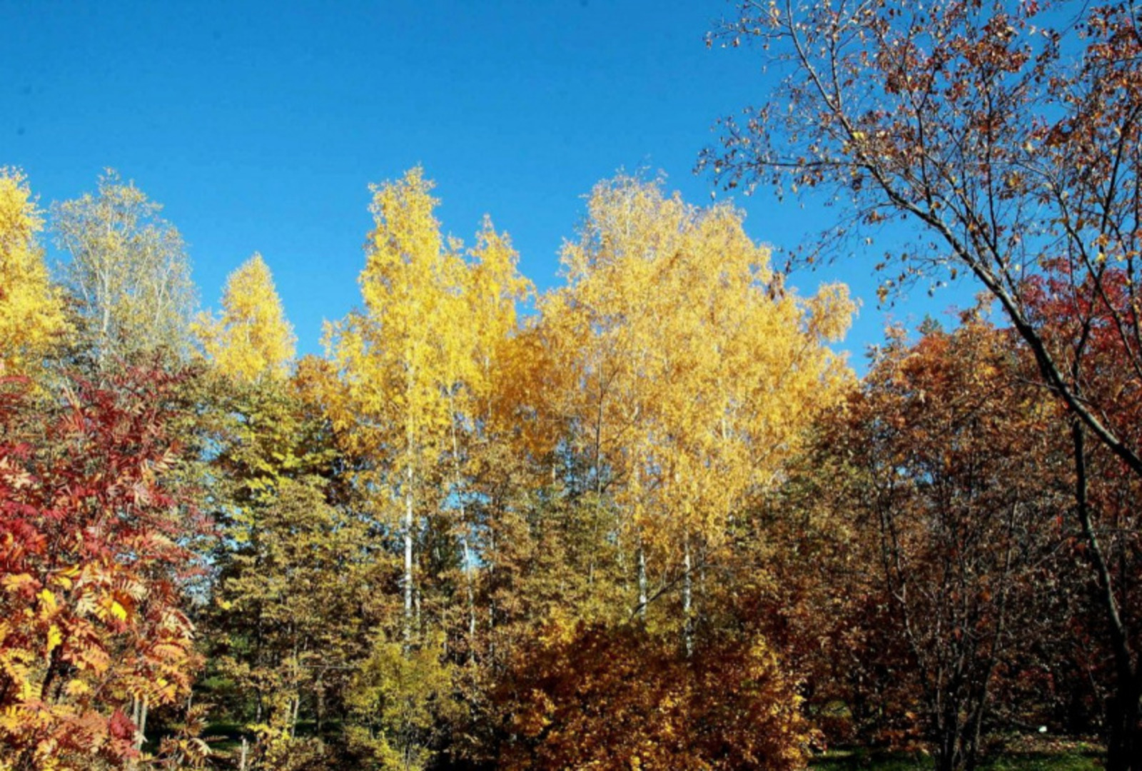 Фото: ИА «Башинформ».