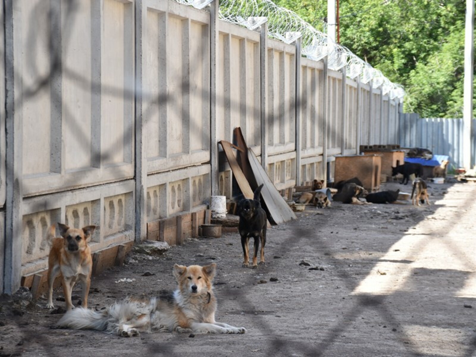 Фото автора.