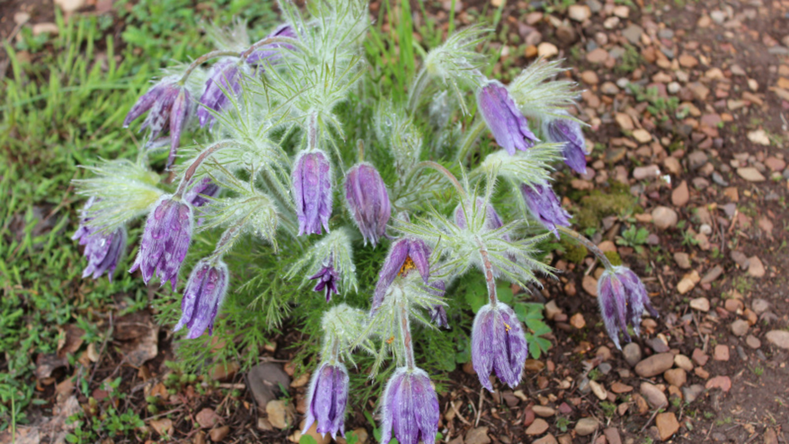 Фото автора.