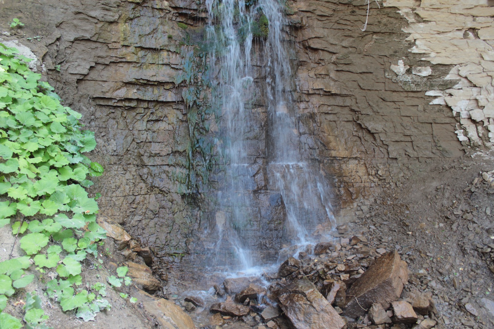 Дарьи Святохиной.