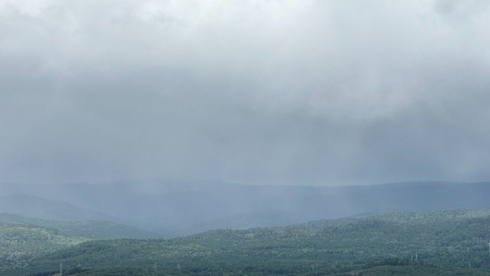 Елены Колоколовой.