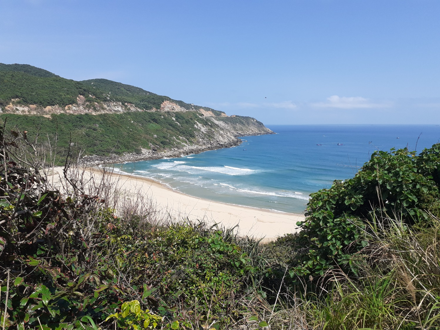 Владимира Шакиева. «Общественная электронная газета».