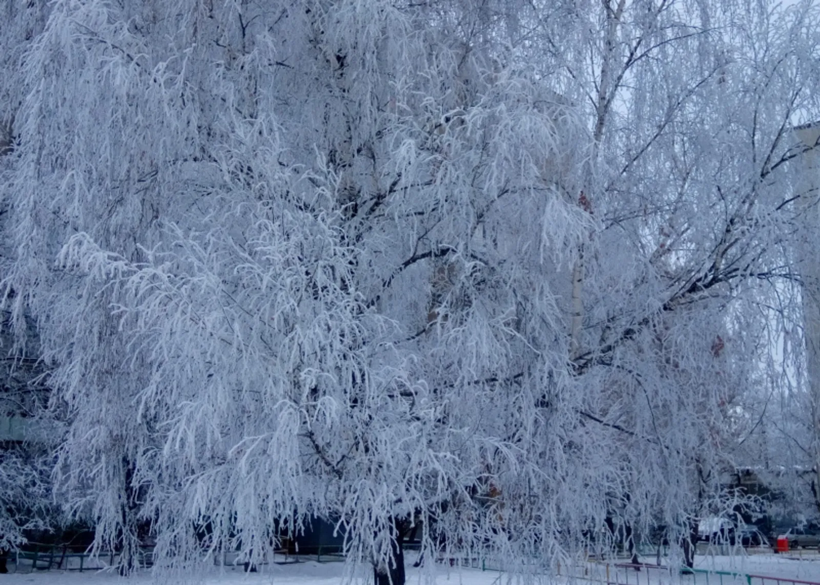 Фото Васили Саитовой.