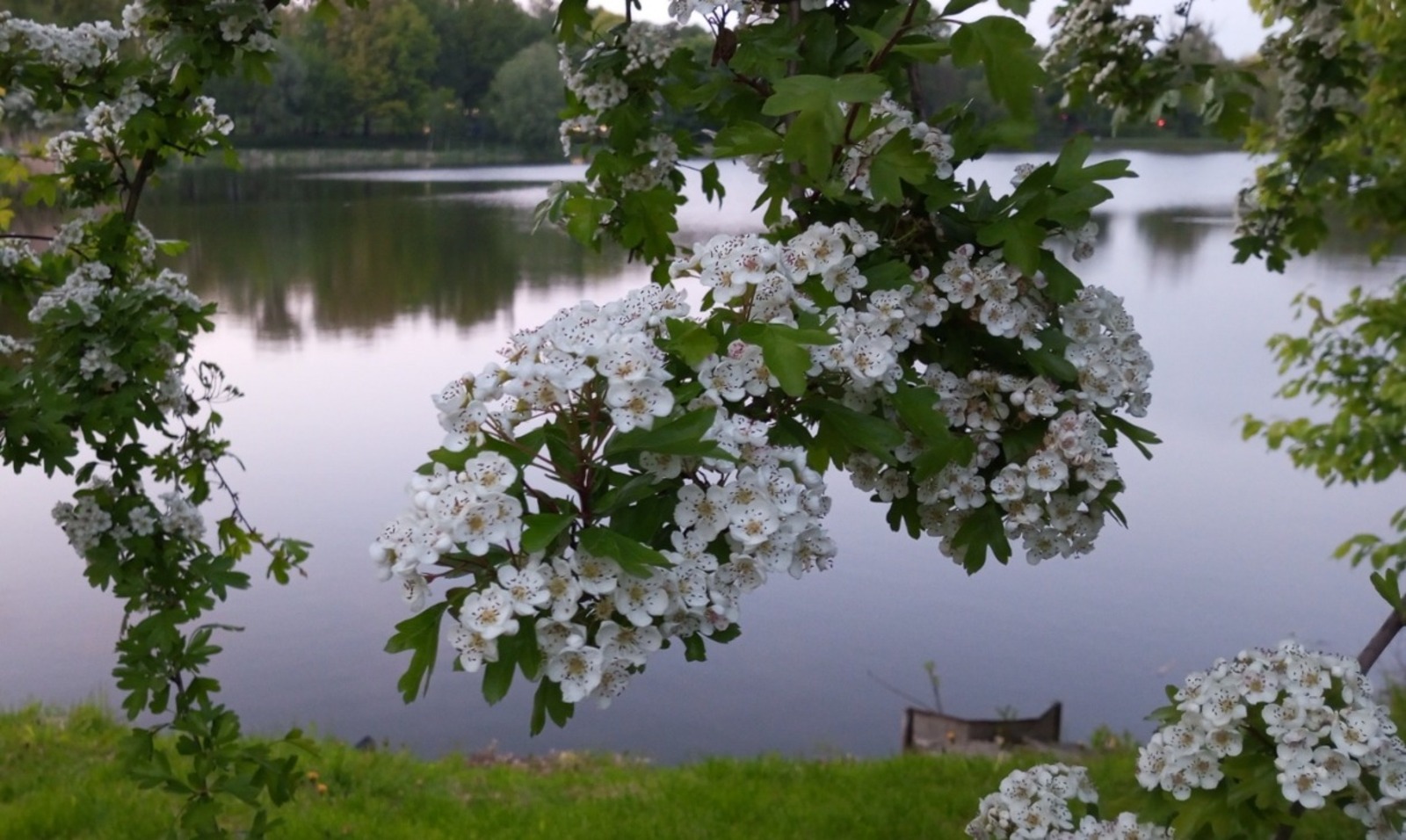 Евгении Сюткиной.