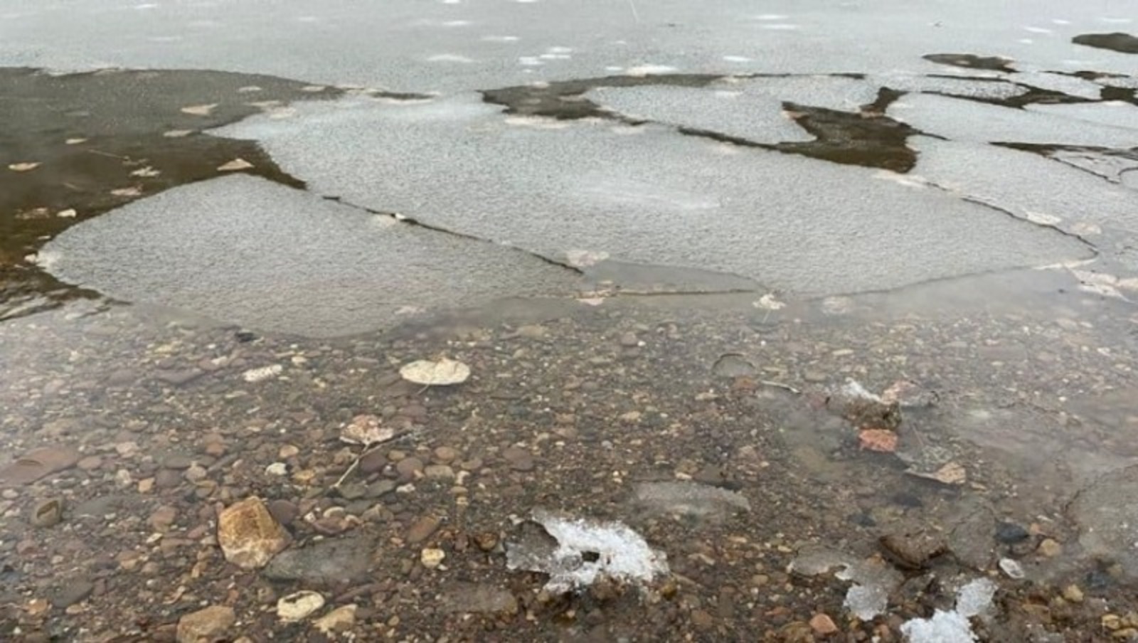 Елены Колоколовой.