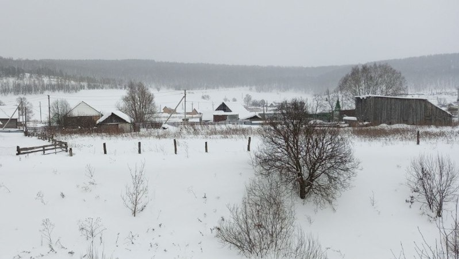 Евгении Сюткиной. «Общественная электронная газета».