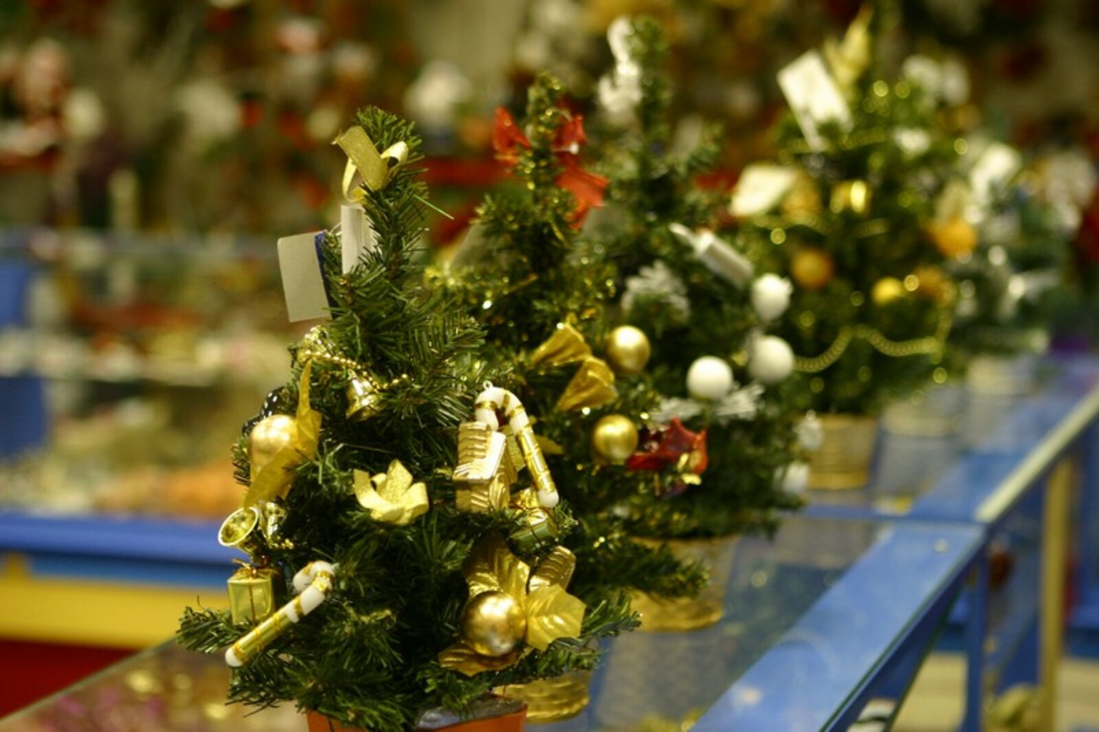 Фото Андрея Старостина (архив).