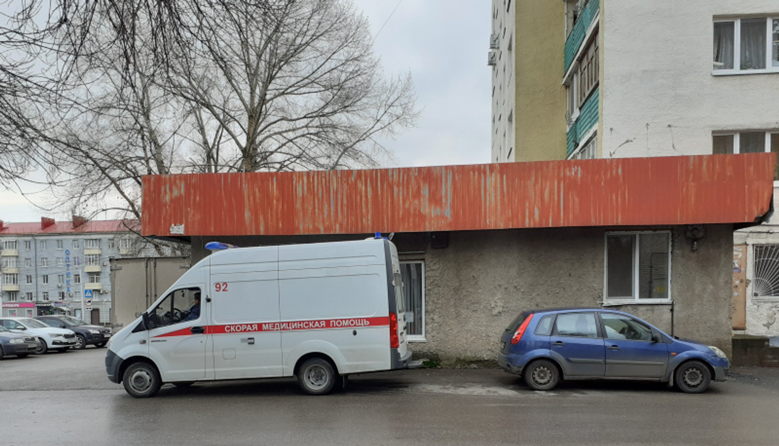 Фото автора.