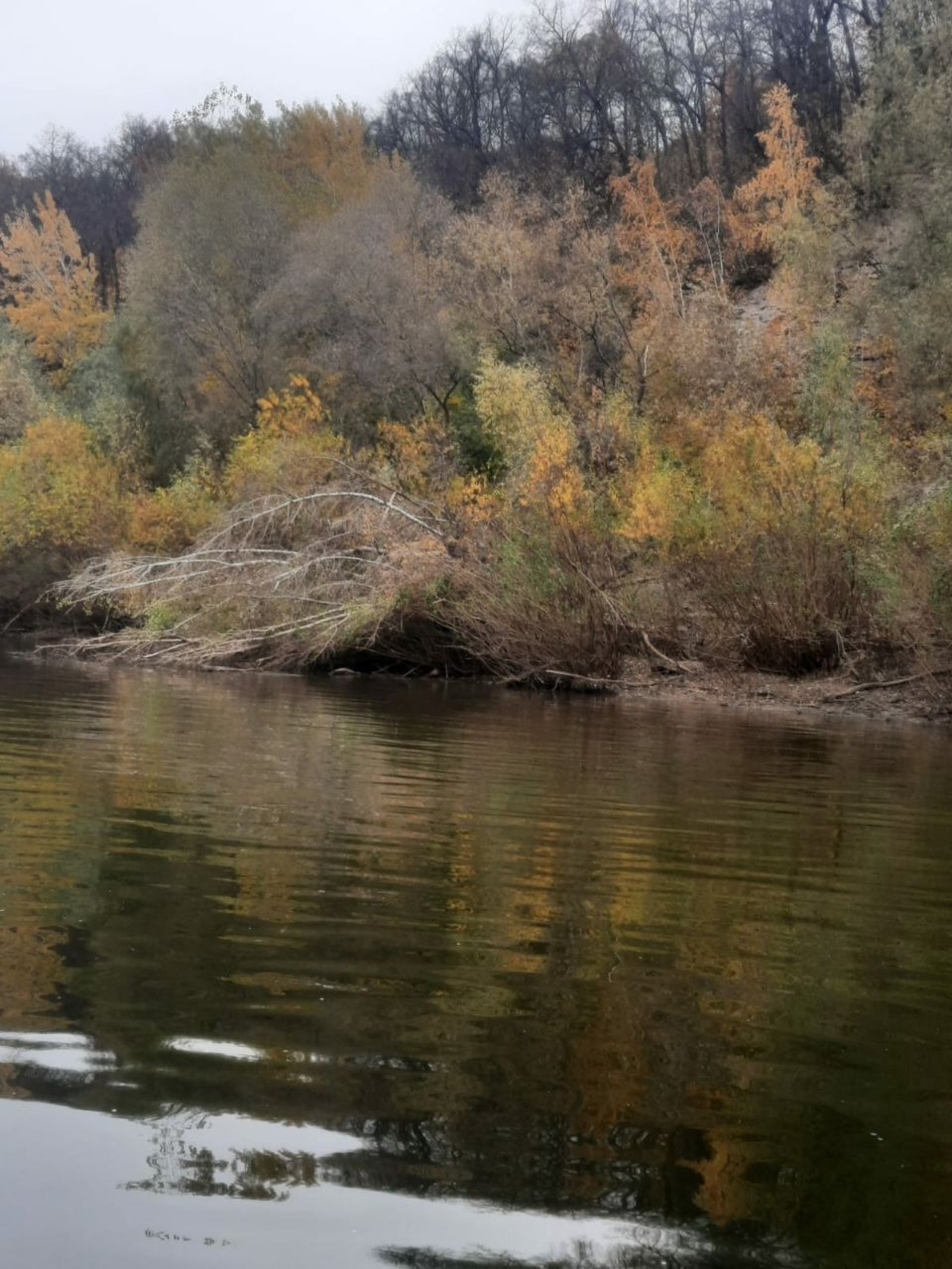 Управление гражданской защиты Уфы.