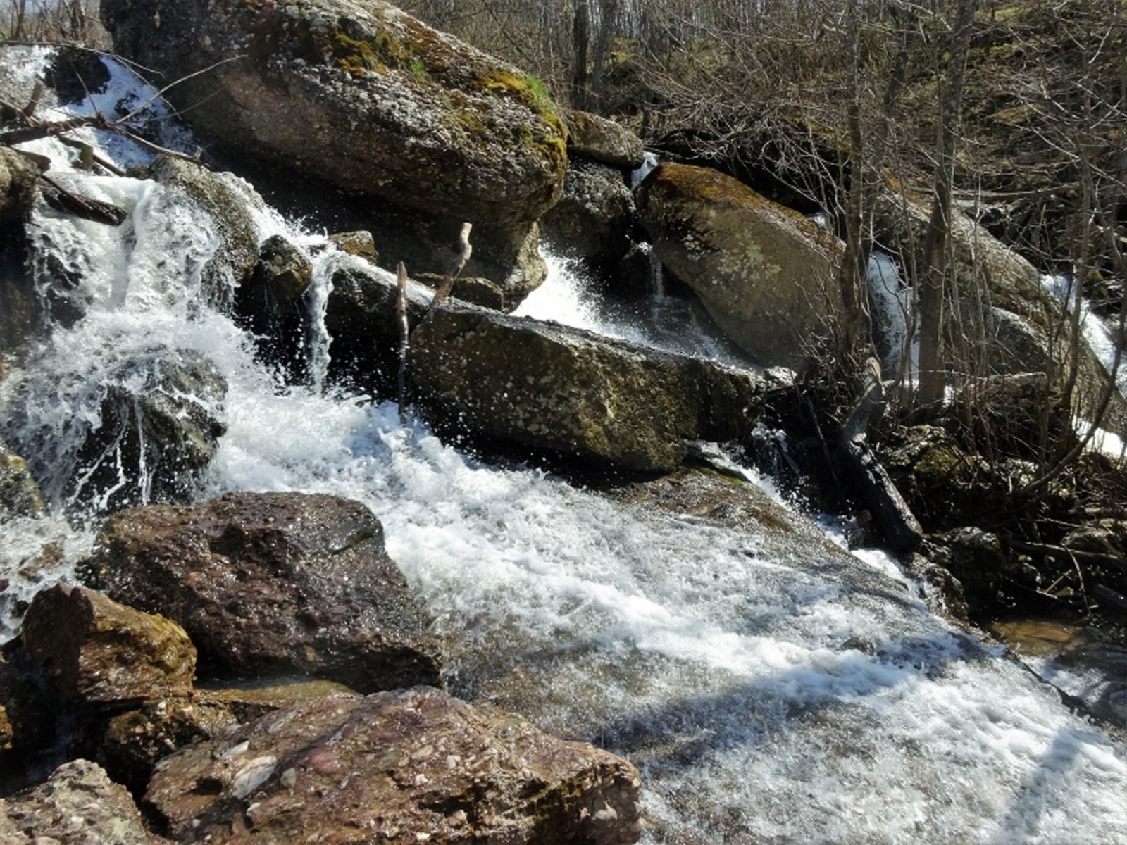 Фото автора.