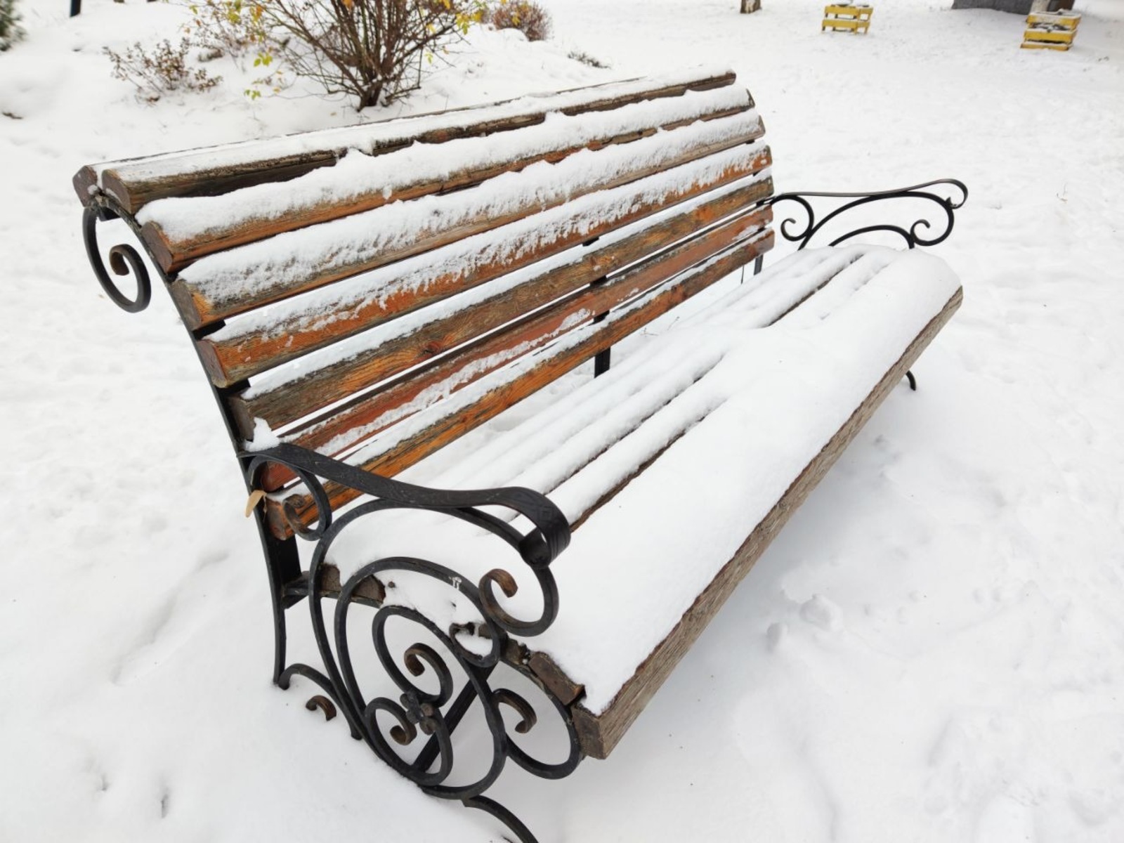 Дарьи Святохиной.