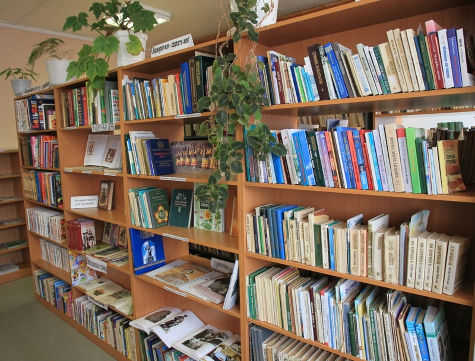 Фото Олега Яровикова.