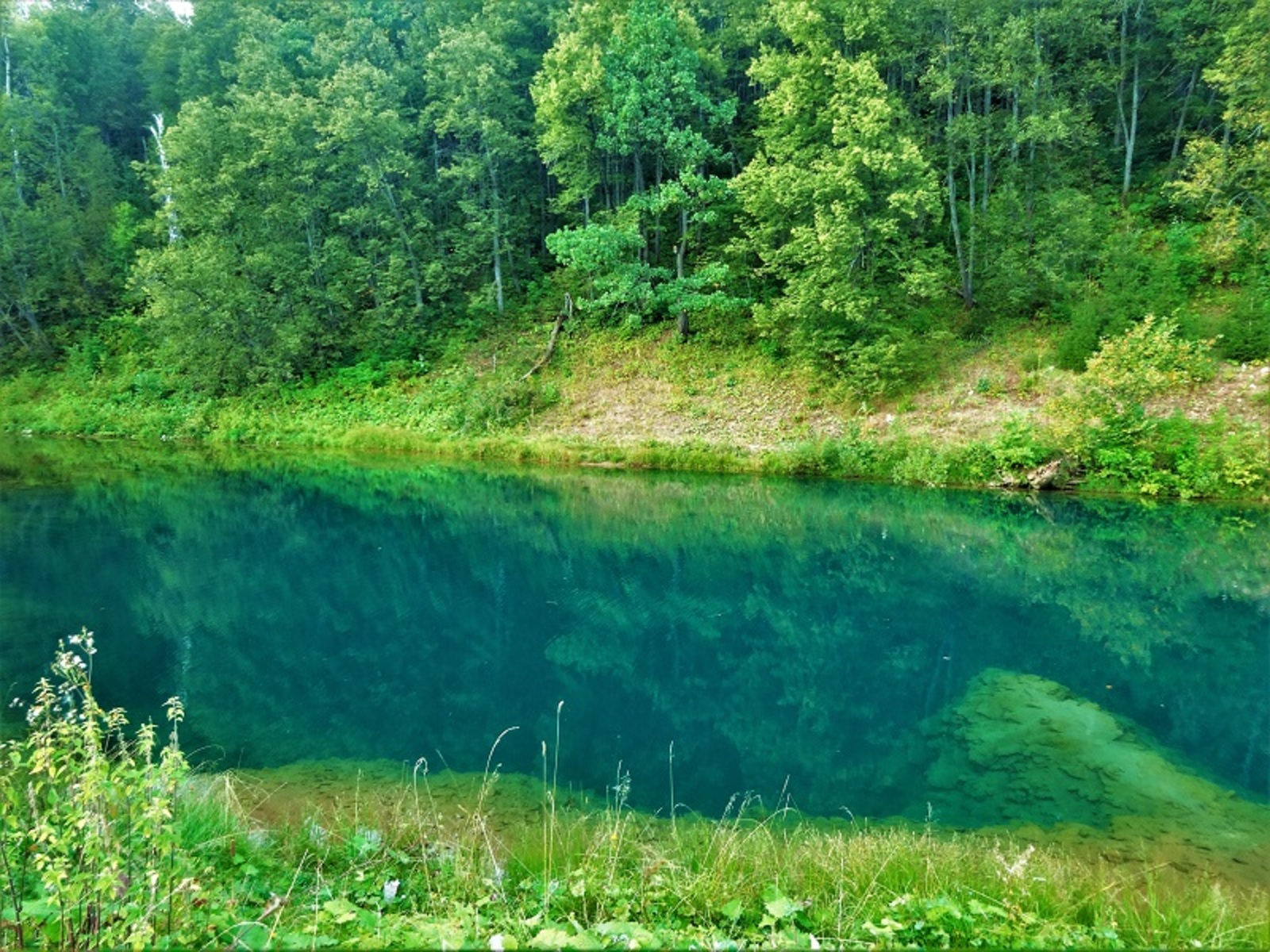 Фото автора.